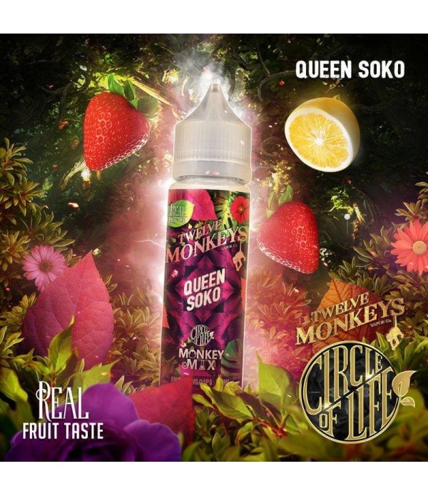 Twelve Monkeys - Circle of Life - Queen Soko - 50ml E-Liquid